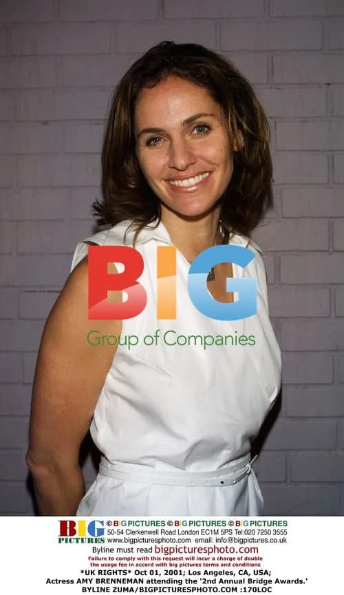 Amy Brenneman at 2nd Annual Bridge Awards