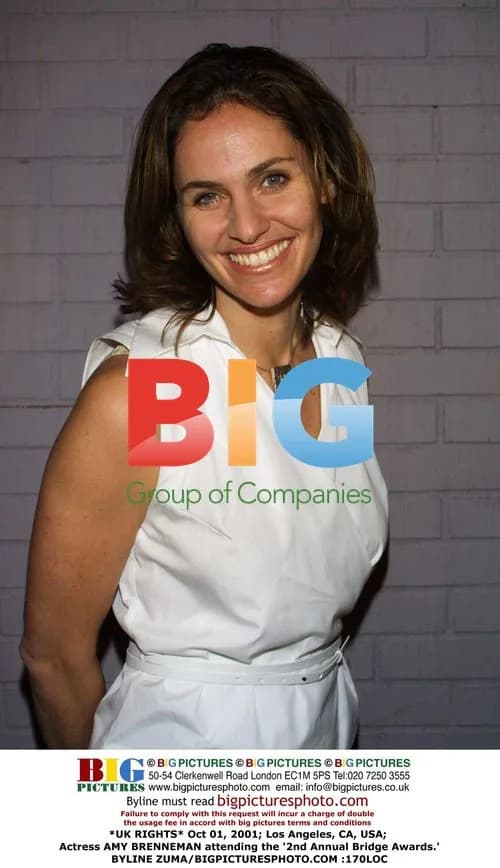 Amy Brenneman at 2nd Annual Bridge Awards