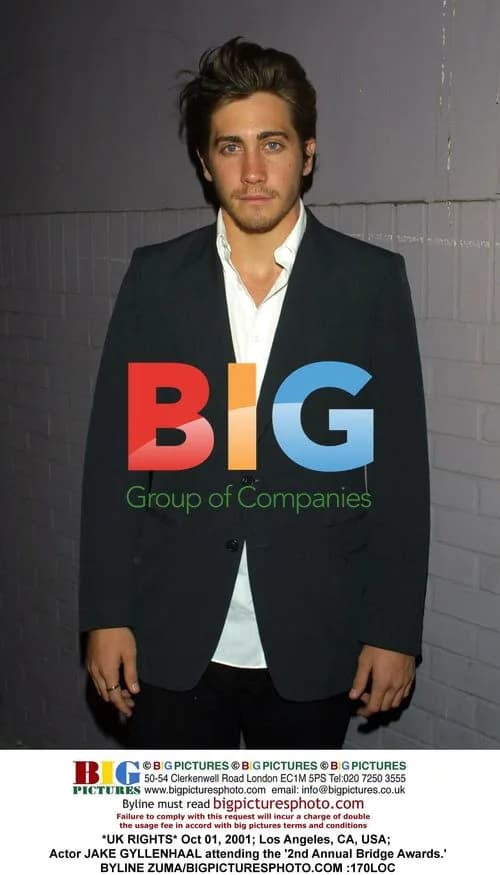 Jake Gyllenhaal at 2nd Annual Bridge Awards