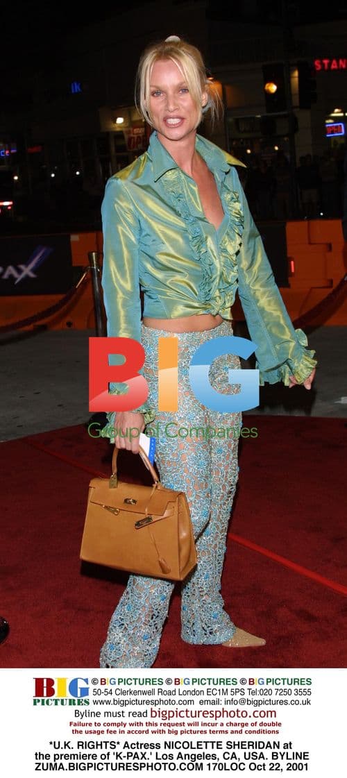 Nicolette Sheridan at 'K-PAX' premiere