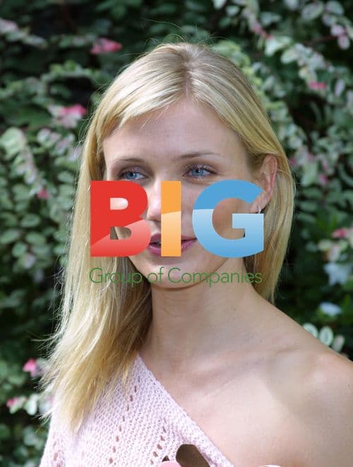 Cameron Diaz at Women in Hollywood Premiere Luncheon