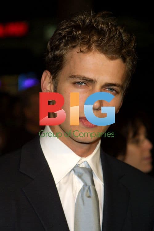 Hayden Christensen at 'Life as a House' premiere
