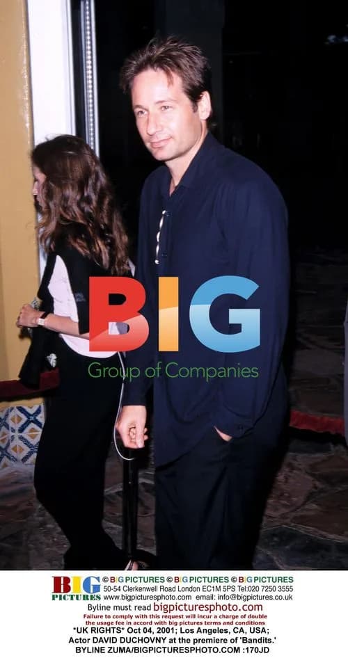 David Duchovny at 'Bandits' premiere