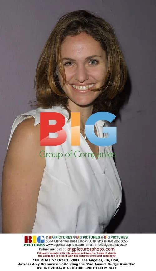 Amy Brenneman at 2nd Annual Bridge Awards