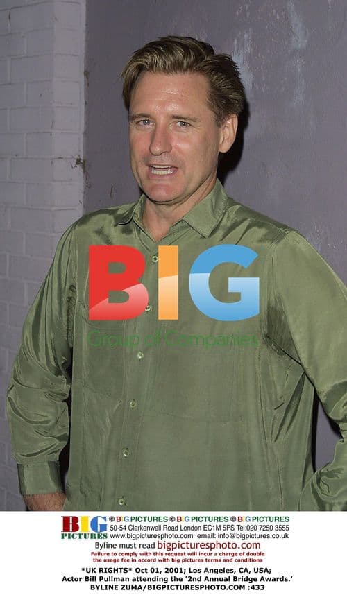 Bill Pullman at 2nd Annual Bridge Awards