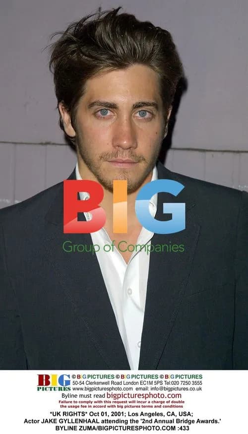 Jake Gyllenhaal at 2nd Annual Bridge Awards