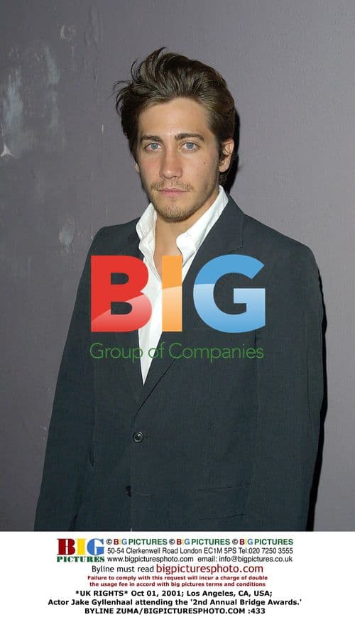 Jake Gyllenhaal at 2nd Annual Bridge Awards
