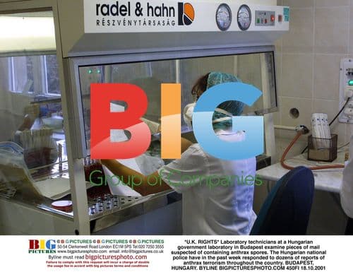 Anthrax scare in Hungary