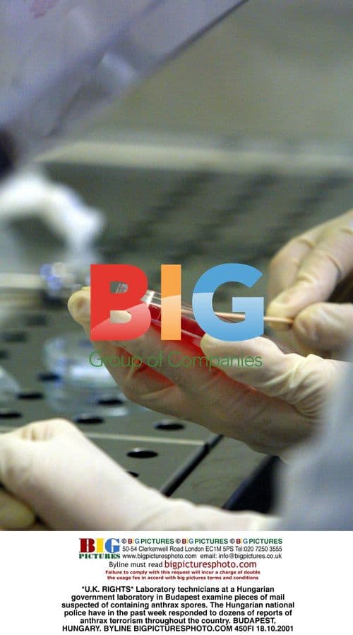 Anthrax scare in Hungary