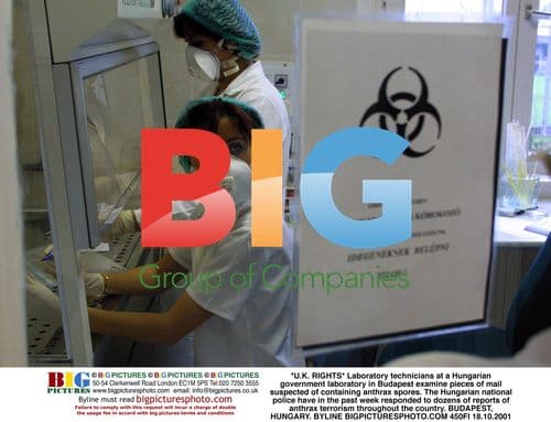 Hungarian lab examines suspected anthrax