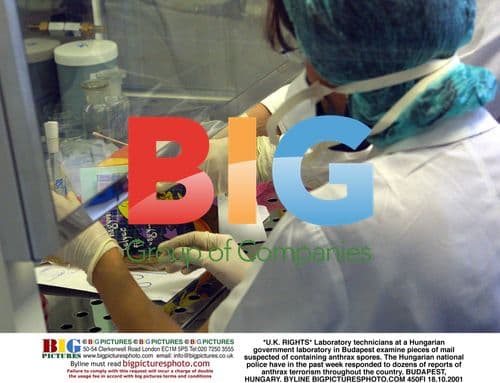 Anthrax scare in Hungary lab