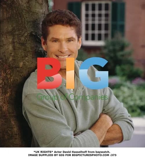 David Hasselhoff of Baywatch