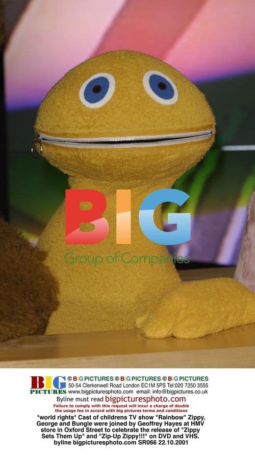 Rainbow TV cast celebrate DVD release