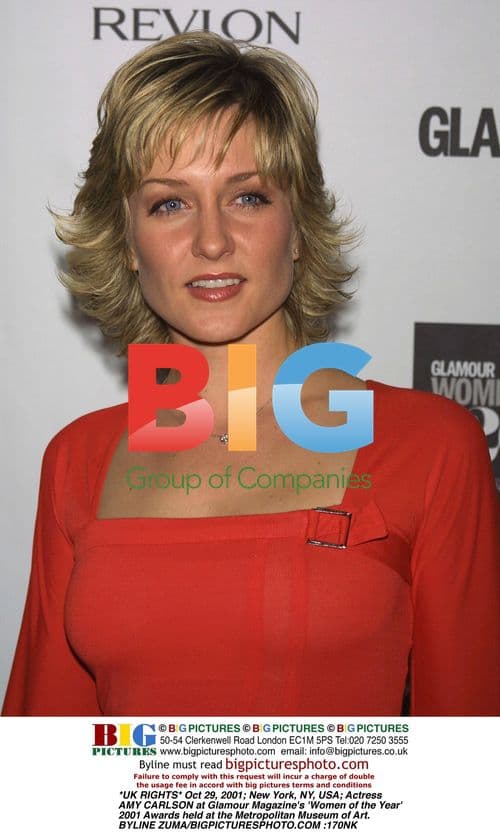 Actress Amy Carlson at Glamour Magazine's 'Women of the Year' Awards