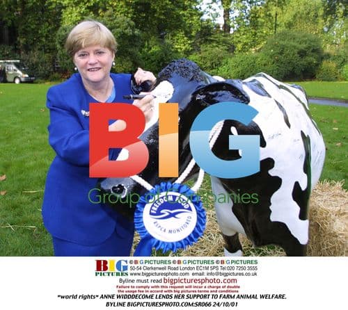 Anne Widddecome Supports Farm Animal Welfare