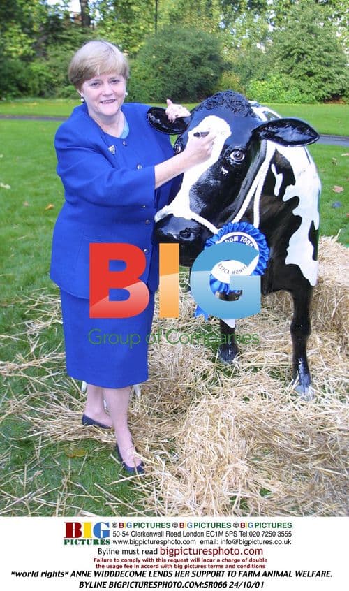 ANNE WIDDDECOME Supports Farm Animal Welfare