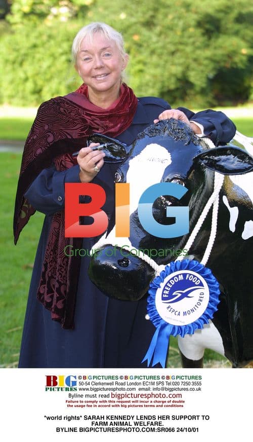 Anne Widdecome Supports Farm Animal Welfare