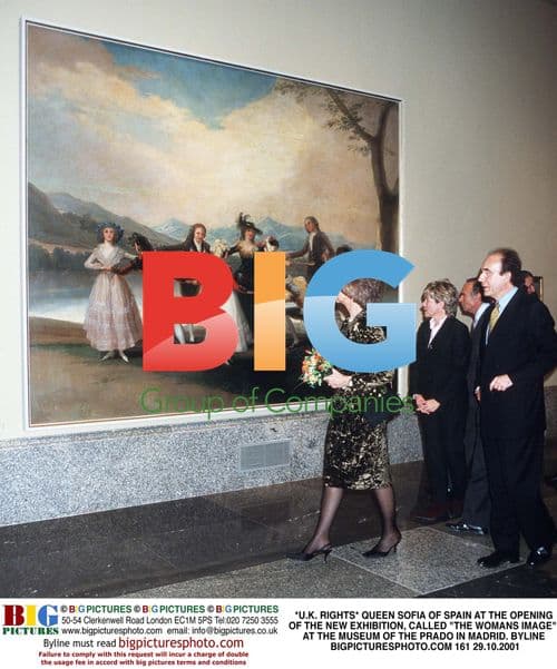 Queen Sofia of Spain at Prado Museum Exhibition