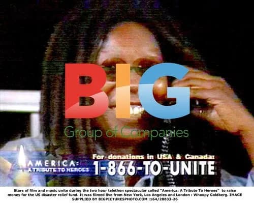 Stars unite for "America: A Tribute To Heroes" telethon