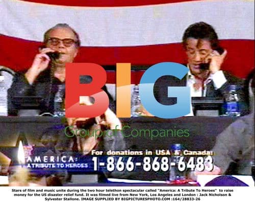 Stars unite for "America: A Tribute To Heroes" telethon