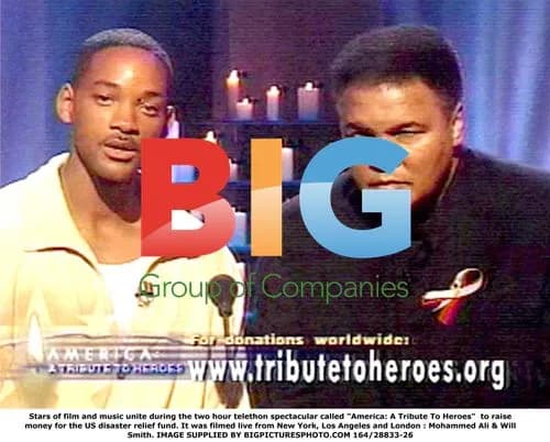 Stars Unite for America Telethon