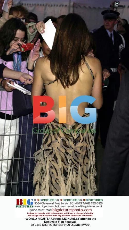 Liz Hurley at Deauville Film Festival