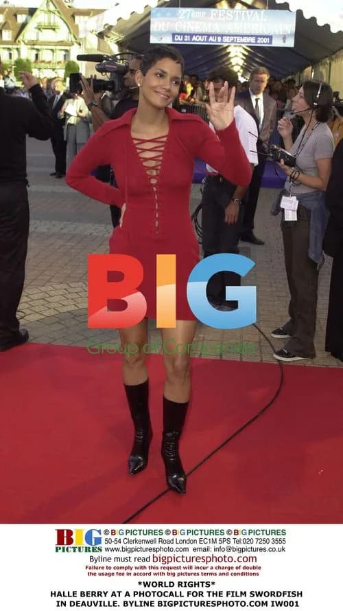 Halle Berry at Swordfish Photocall in Deauville
