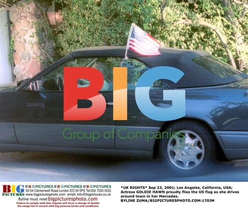 Goldie Hawn proudly flies US flag in LA