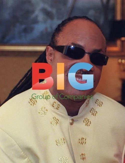 Stevie Wonder Performs at Tribute