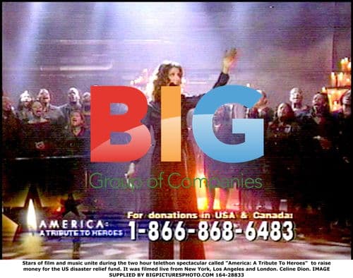 Stars unite for "America: A Tribute To Heroes" telethon