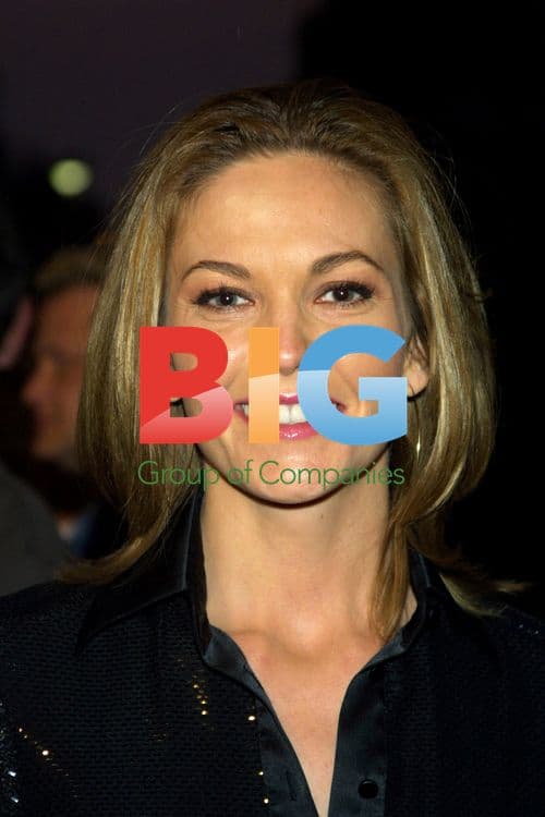 Diane Lane at 'Hardball' premiere