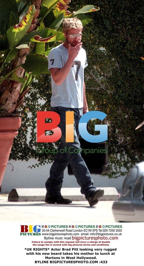 Brad Pitt & Mother Lunching in West Hollywood