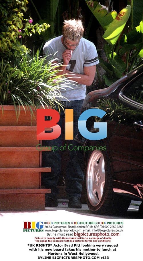 Brad Pitt takes mom to lunch in Hollywood