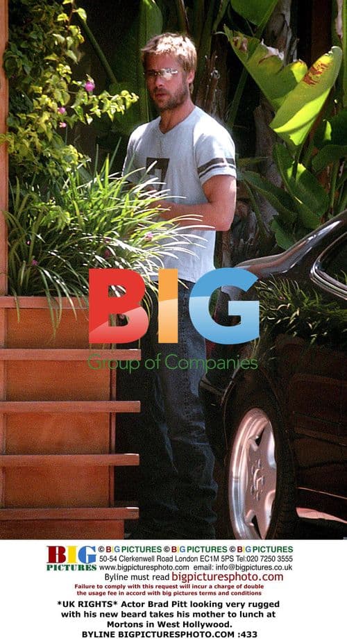 Brad Pitt takes mother to lunch in West Hollywood
