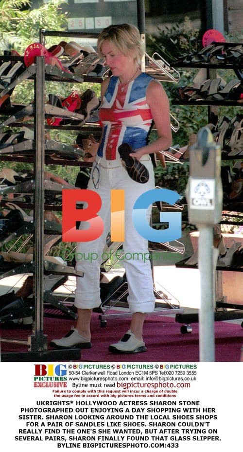 Sharon Stone Shopping with Sister