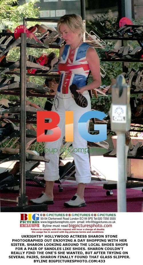 Sharon Stone Shopping with Sister