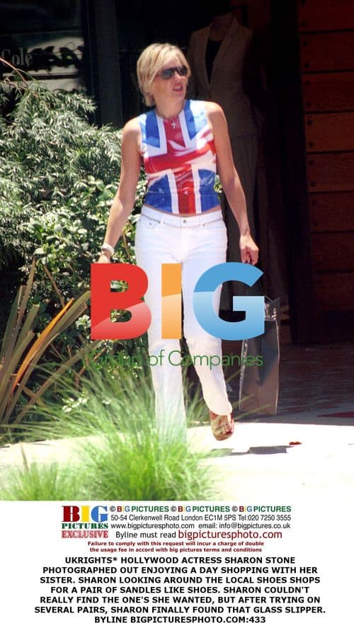 Sharon Stone Shopping with Sister