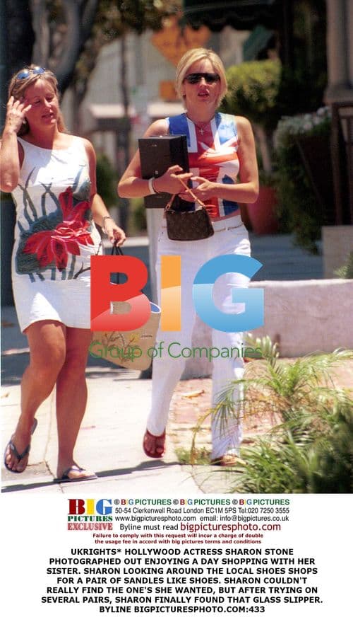 Sharon Stone Shopping with Sister