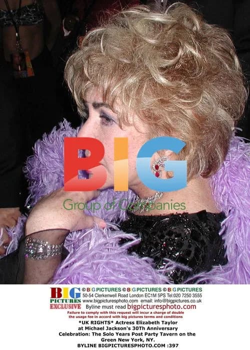 Elizabeth Taylor at Michael Jackson's 30th Anniversary Party