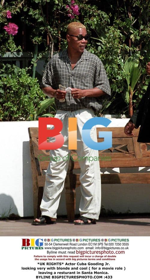 Cuba Gooding Jr. Leaves Santa Monica Restaurant