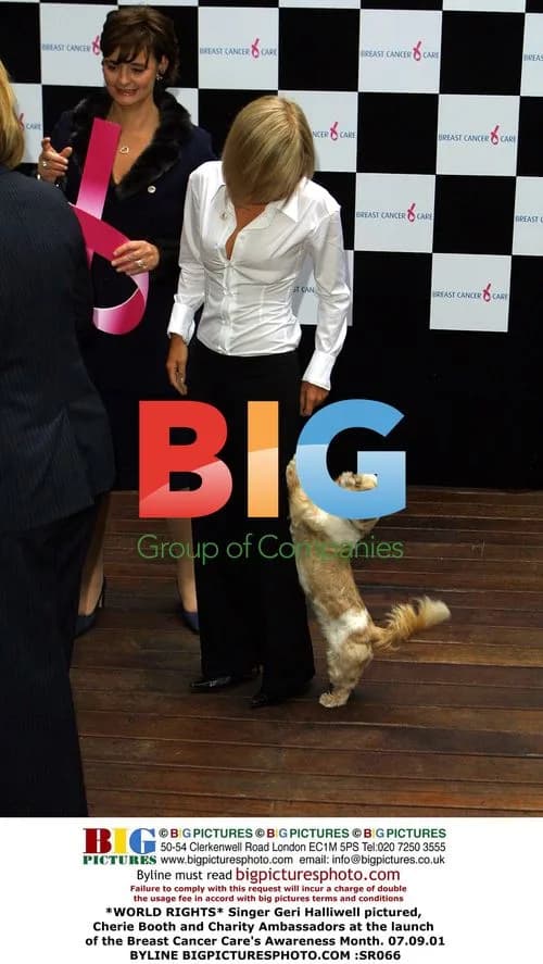 Singer Geri Halliwell at Breast Cancer Awareness event
