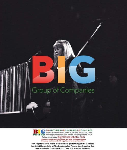 Stevie Nicks at Concert for Artist Rights