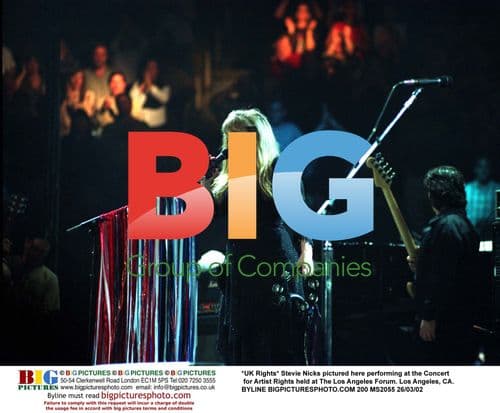 Stevie Nicks performs at Concert for Artist Rights