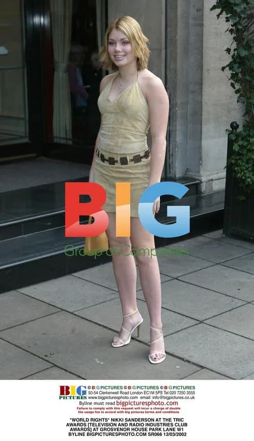 Nikki Sanderson at TRIC Awards 2002