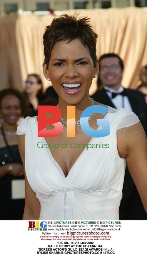 Halle Berry at 8th Annual SAG Awards