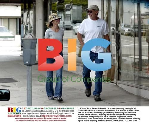Harrison Ford and Calista Flockhart Shop in Santa Monica
