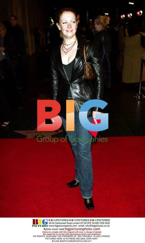 Melissa Joan Hart at "Big Trouble" Premiere