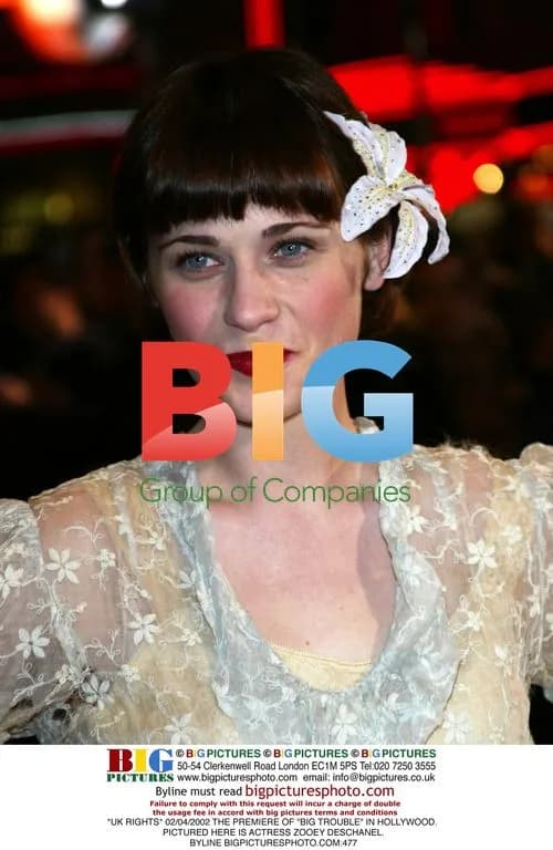 Zooey Deschanel at "Big Trouble" Premiere