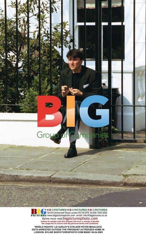 Liz Hurley's Stalker Peter Mihalovic Arrested