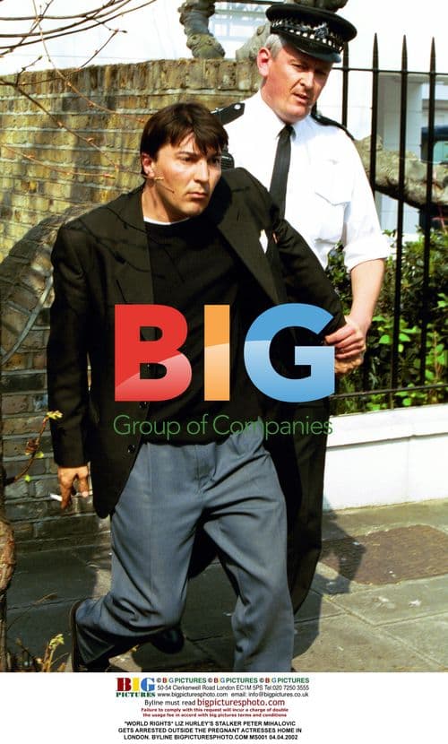 Liz Hurley's Stalker Arrested Outside Pregnant Actress' Home